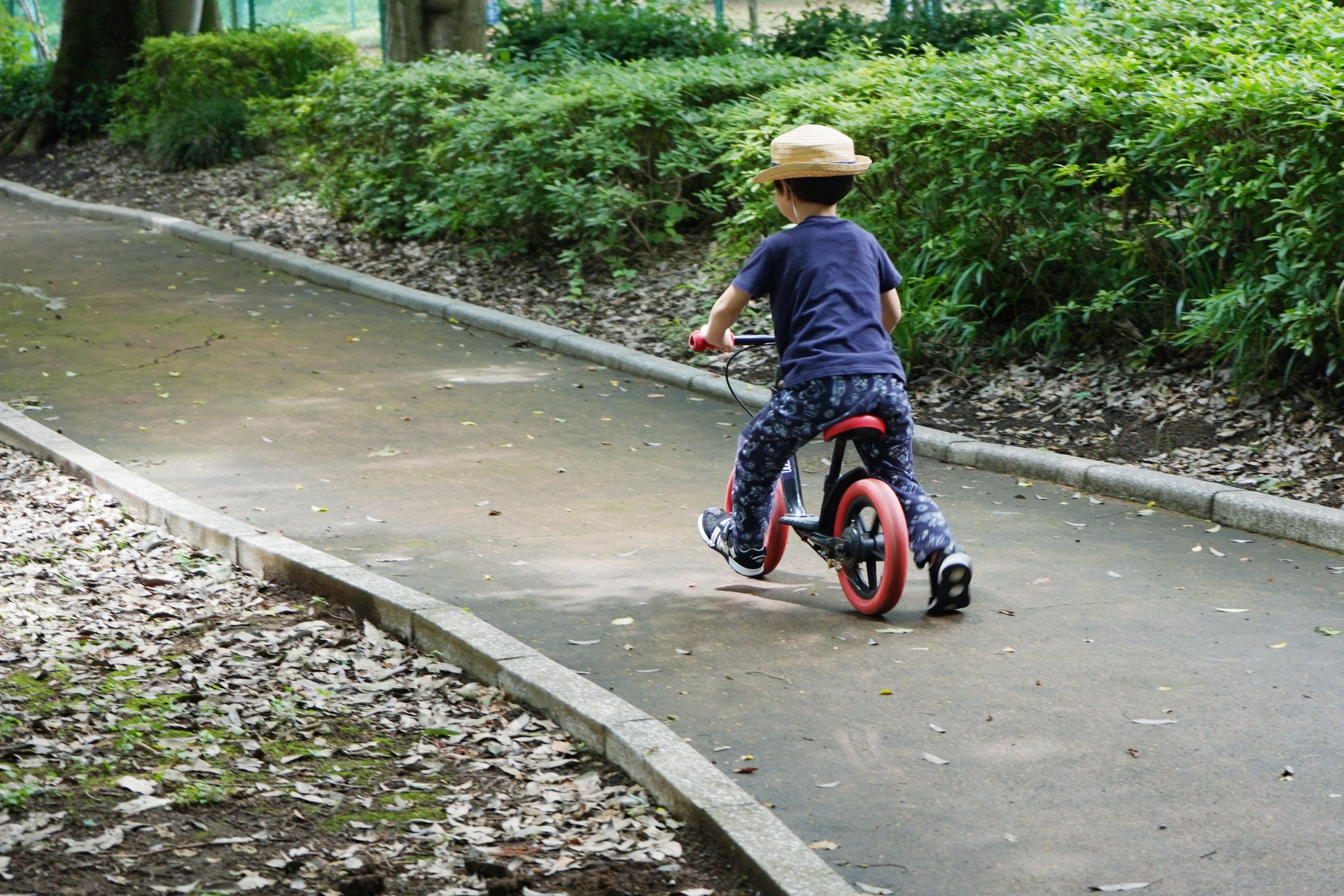 自転車 障害